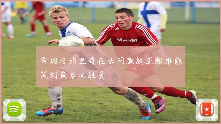蒂姆与西里奇在法网激战正酣谁能笑到最后决胜负