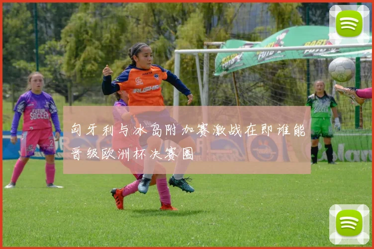 匈牙利与冰岛附加赛激战在即谁能晋级欧洲杯决赛圈